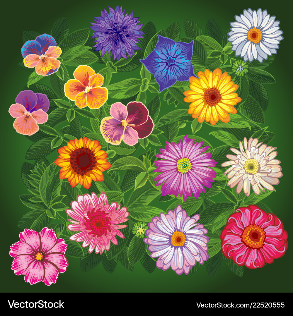 Colorful Wildflower Collection Vector Image