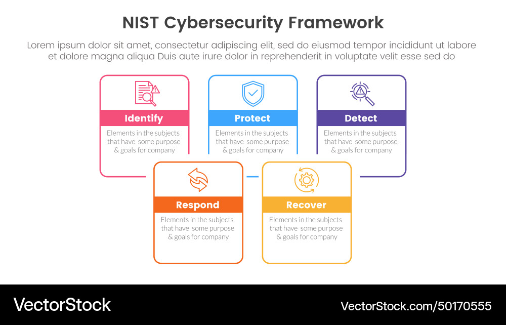 Nist cybersecurity framework infographic 5 point Vector Image