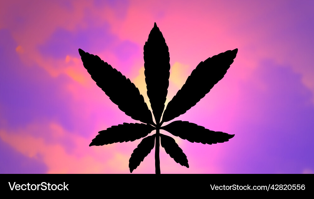 Medizinischer Gebrauch von Marihuana und Cannabis Medizinischer Gebrauch von Marihuana und Cannabis vektorbild