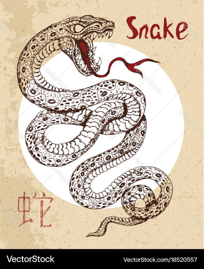 Chinese zodiac symbol of etching snake