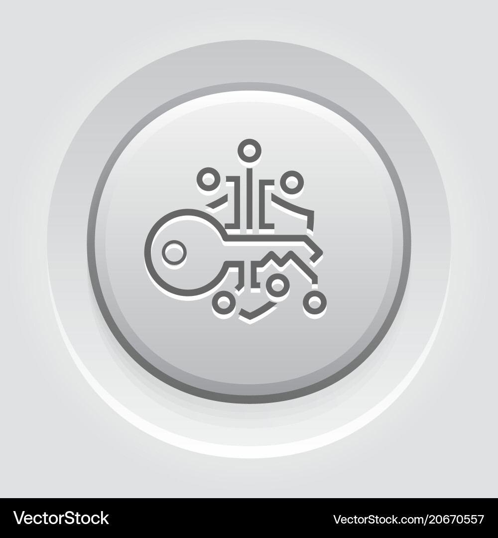 Crypto key management button icon vector image