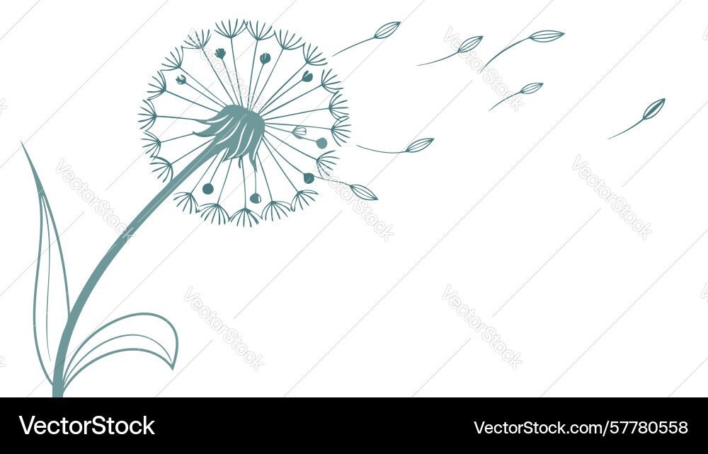 Dandelion with floating seeds design generative Vector Image
