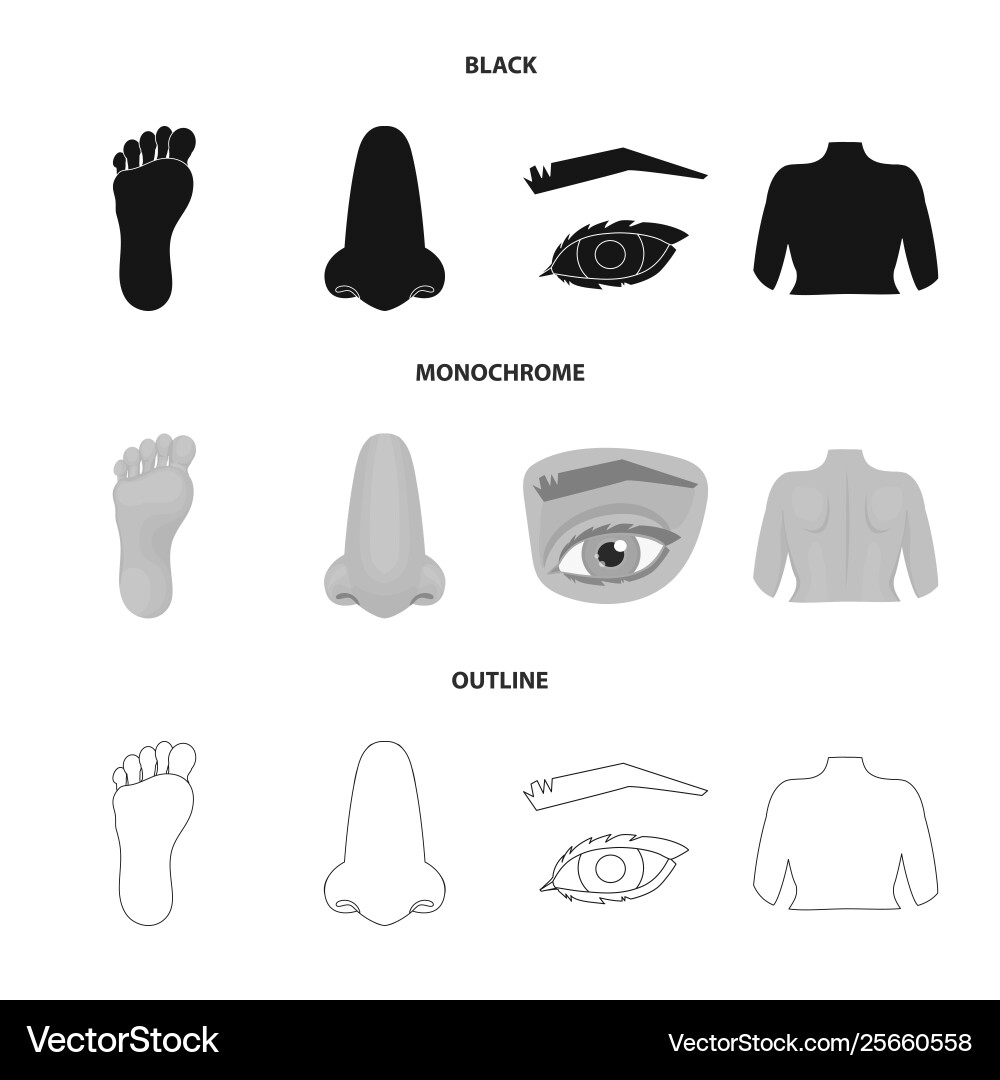 Isolated object body and part icon collection Isolated object body and part icon collection vector image