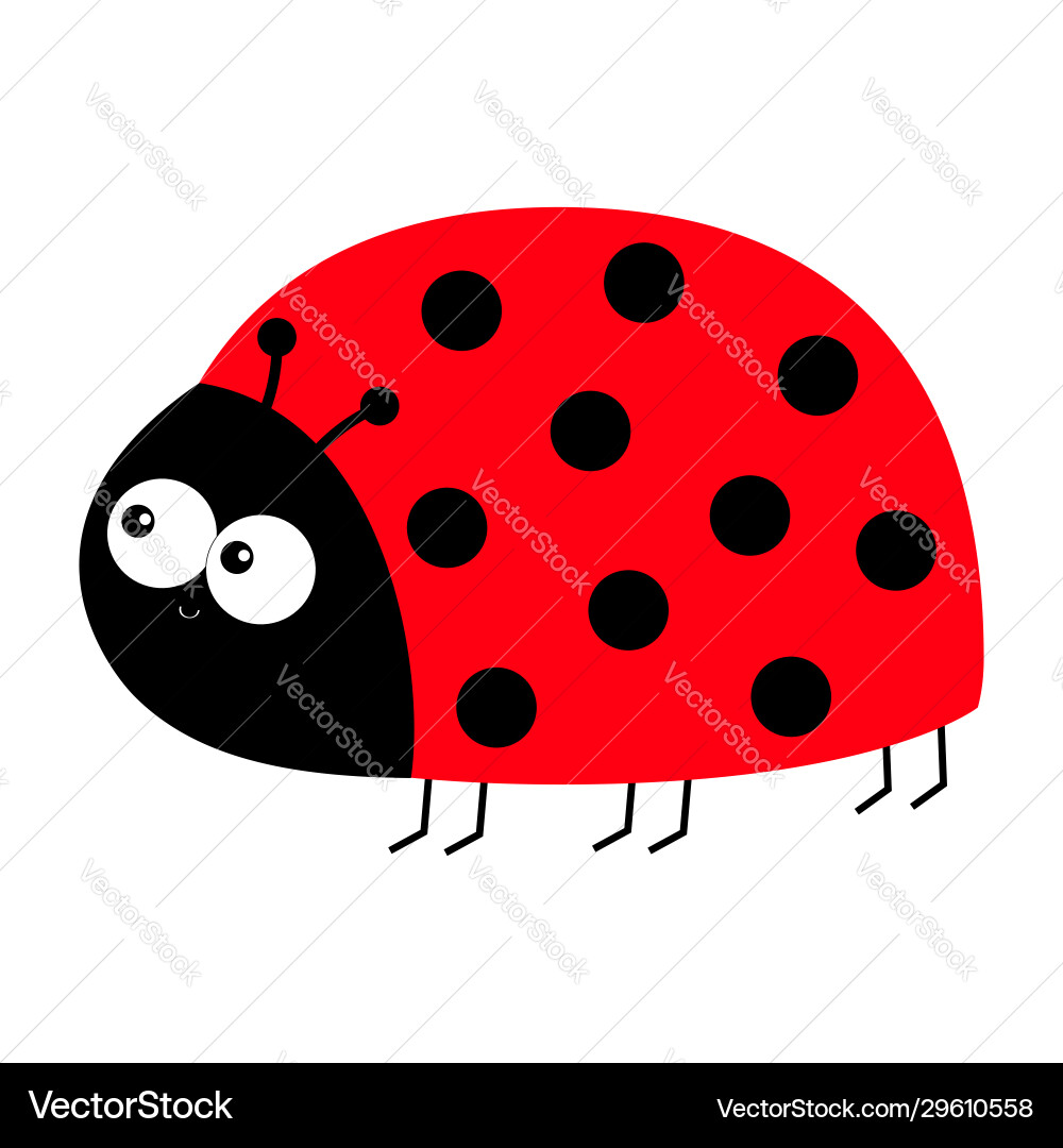 Lady bug ladybird insect icon print side view Lady bug ladybird insect icon print side view vector image