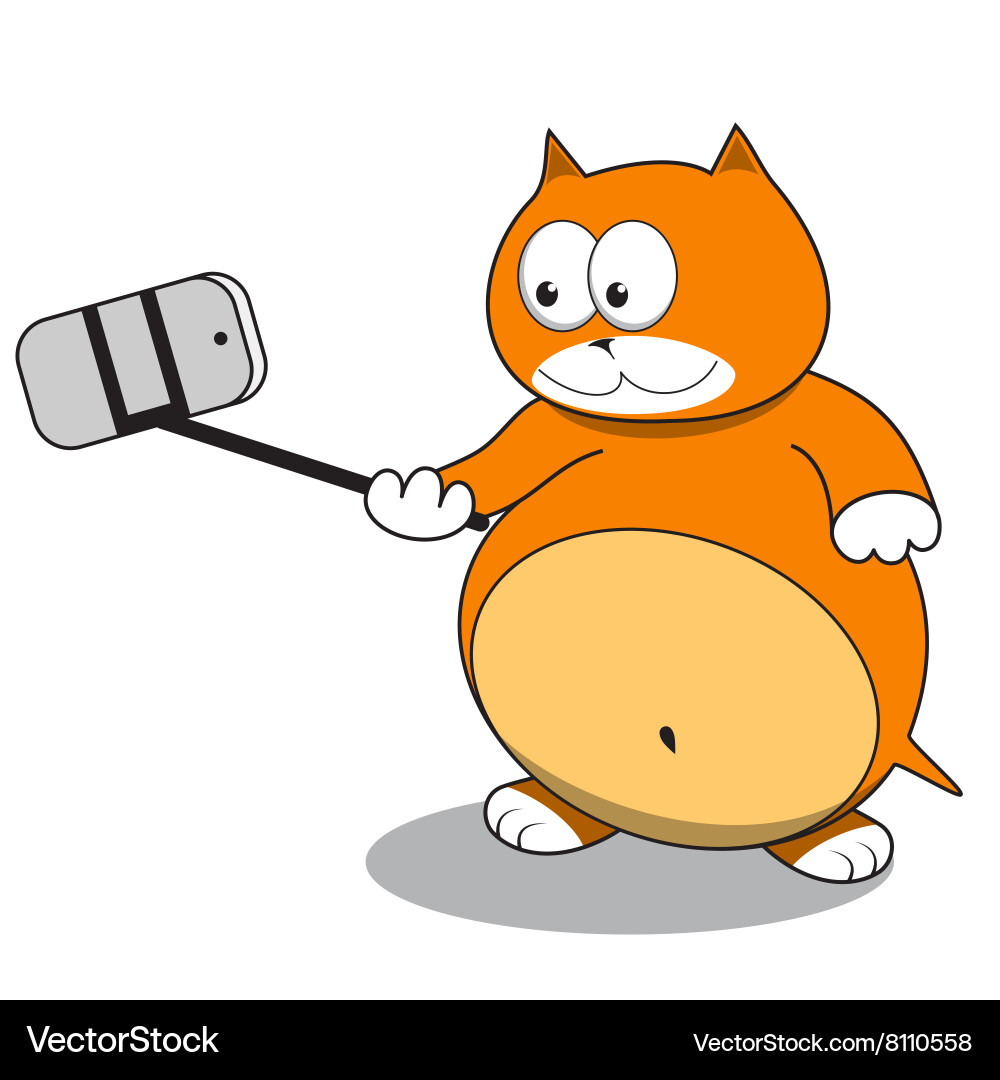Red cat taking a selfie using stick Vector Image