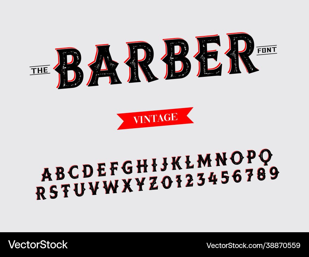 Font alphabet script typeface handcrafted Font alphabet script typeface handcrafted vector image