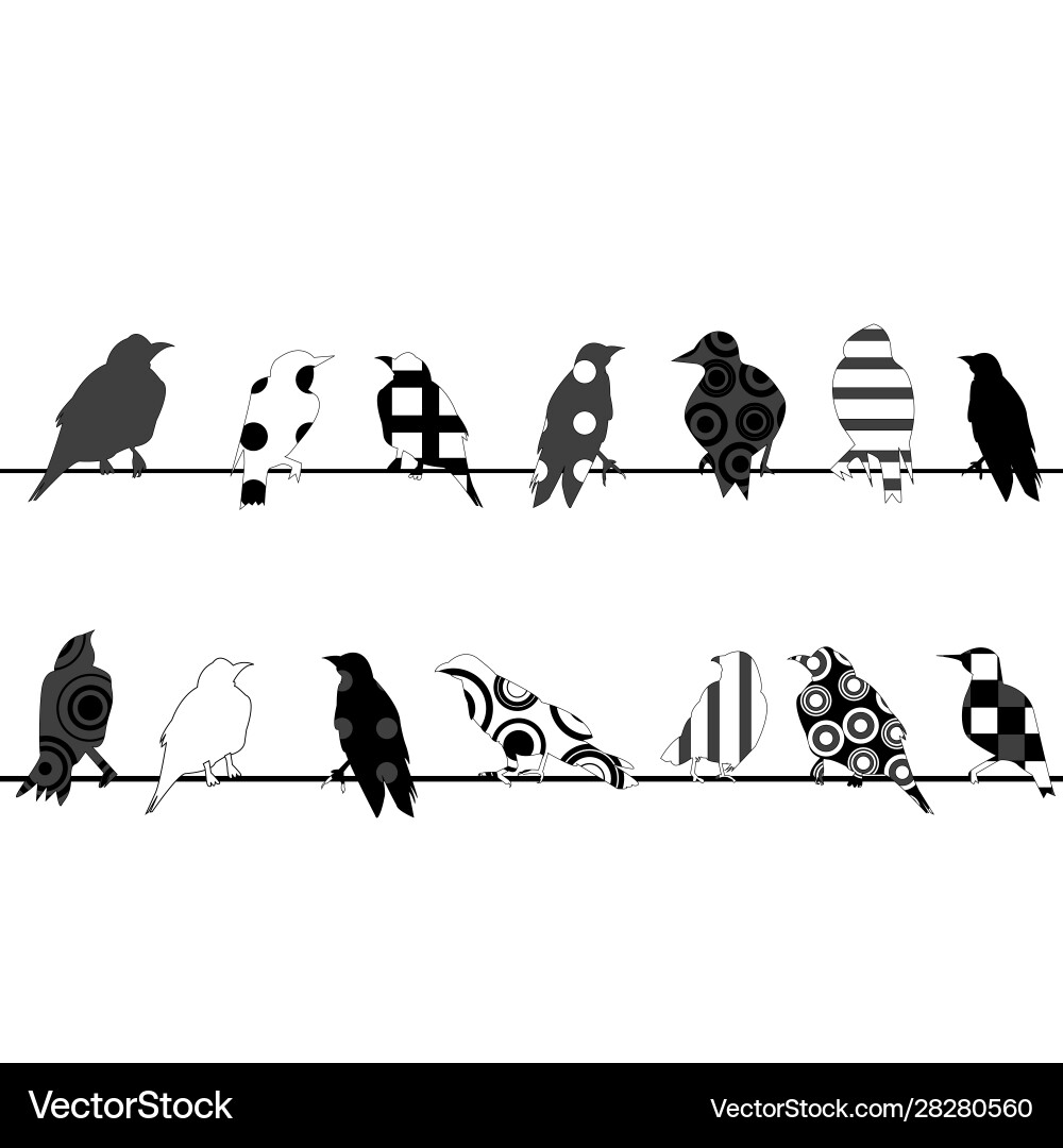 Birds with different pattern on wires Birds with different pattern on wires vector image
