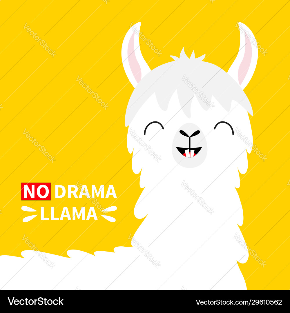 Llama alpaca head face no drama tooth smile cute Llama alpaca head face no drama tooth smile cute vector image