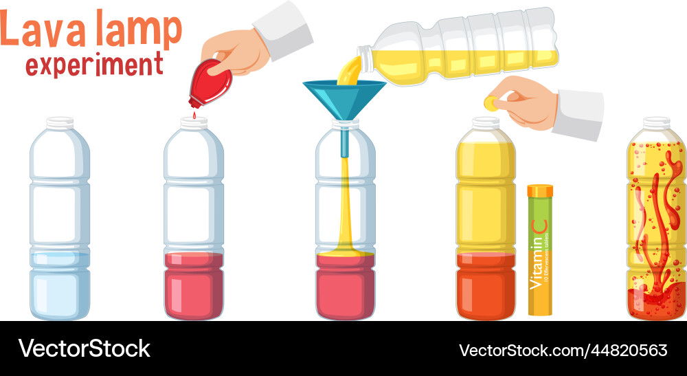Lava Lamp Science Experiment vector image
