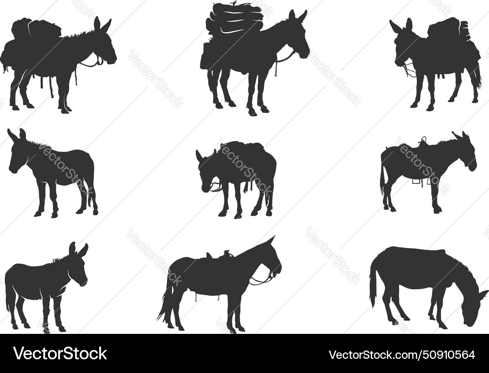 Pack mule silhouette silhouettes Royalty Free Vector Image