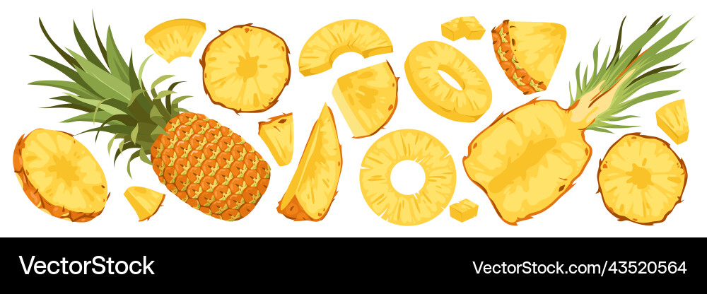 Pineapple Fruit Set - Tropical Cut Royalty Free Vector Image
