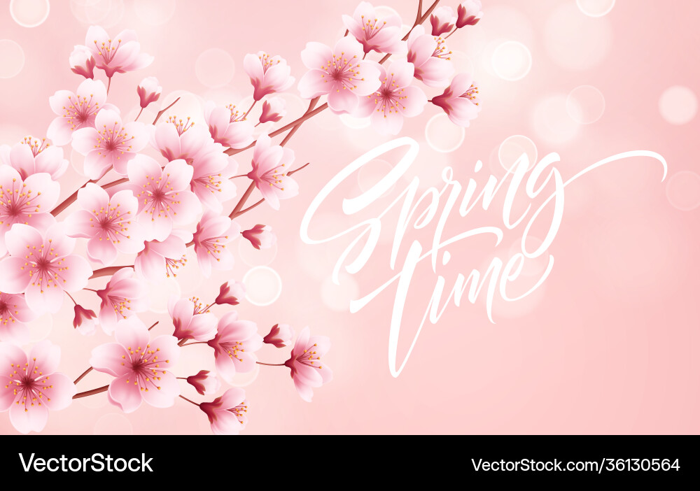 Spring time beautiful background with vector image
