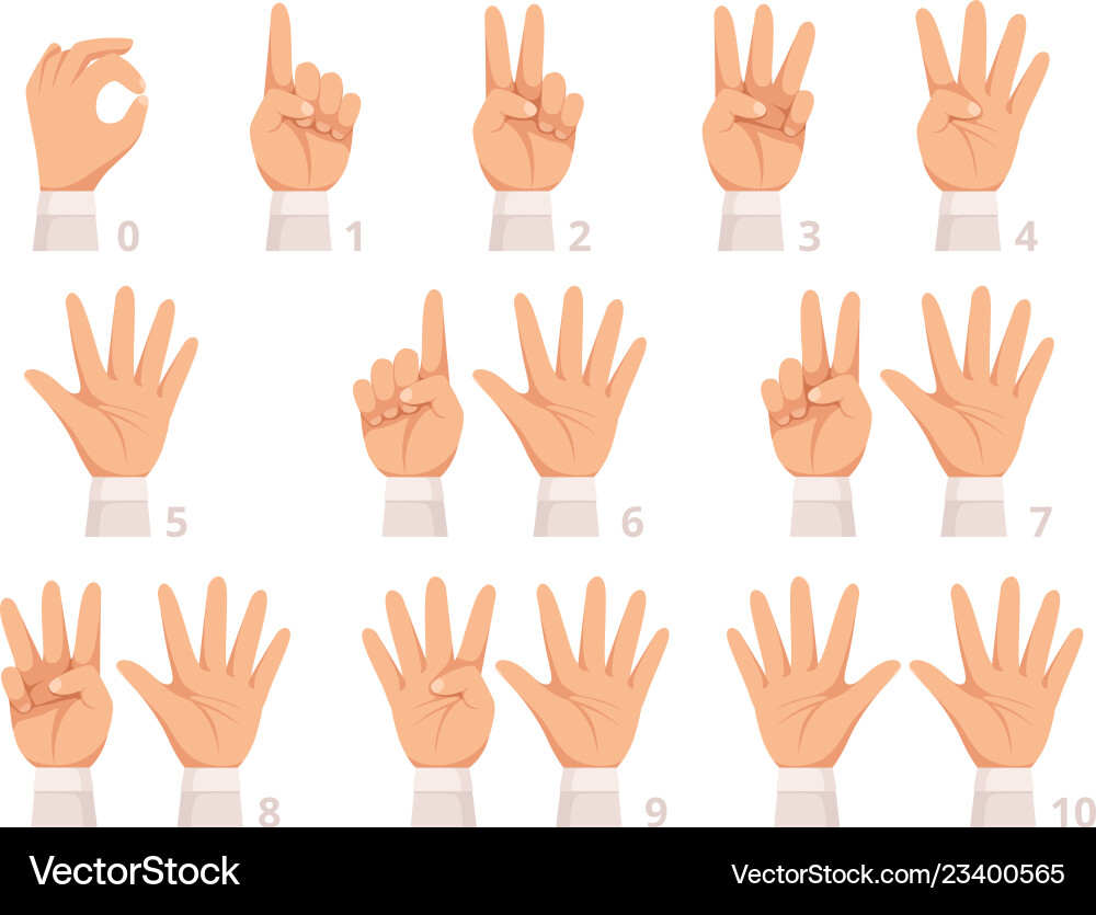 Hands gesture numbers human palm and fingers show Hands gesture numbers human palm and fingers show vector image