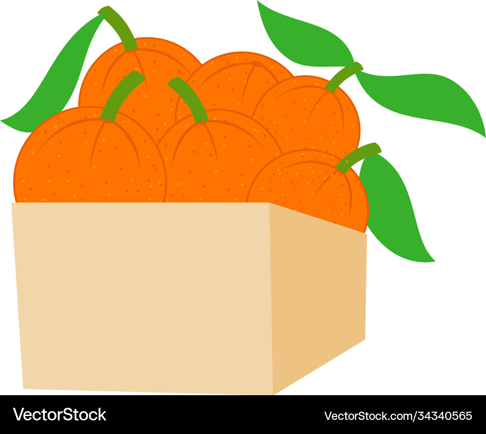 Orange design slice part box Orange design slice part box Vector Image