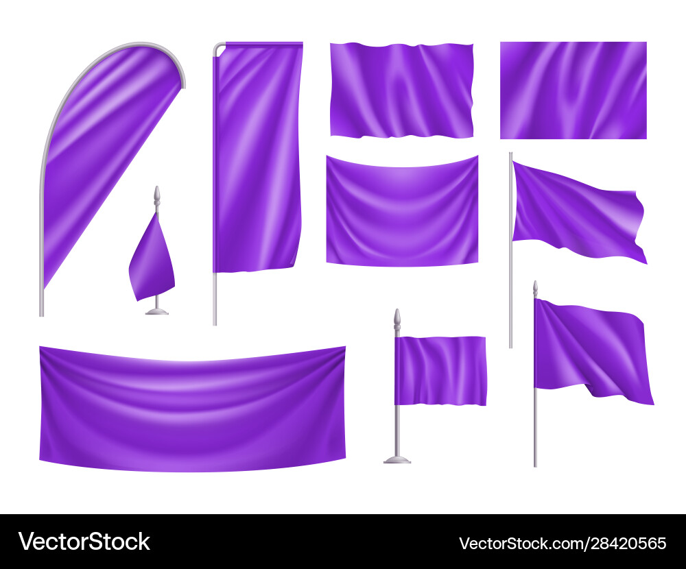 Violet rectangular flags set isolated on white vector image