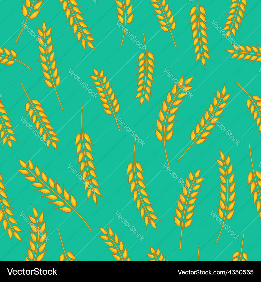 Wheat Spikelet Pattern vector image