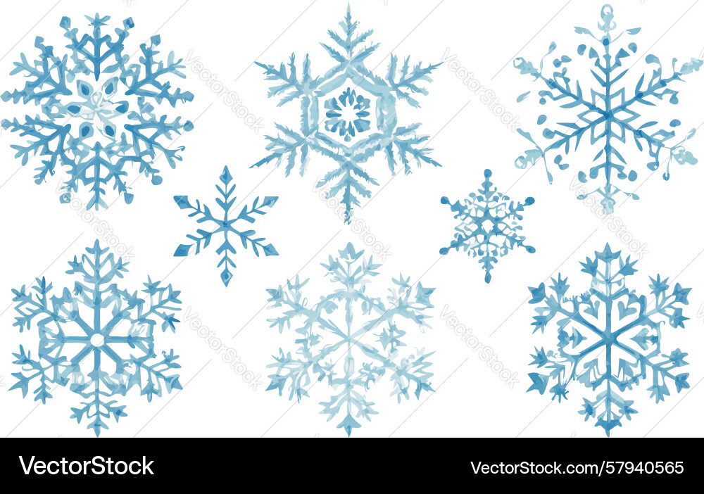 Winter Snowflake Patterns Vector Image