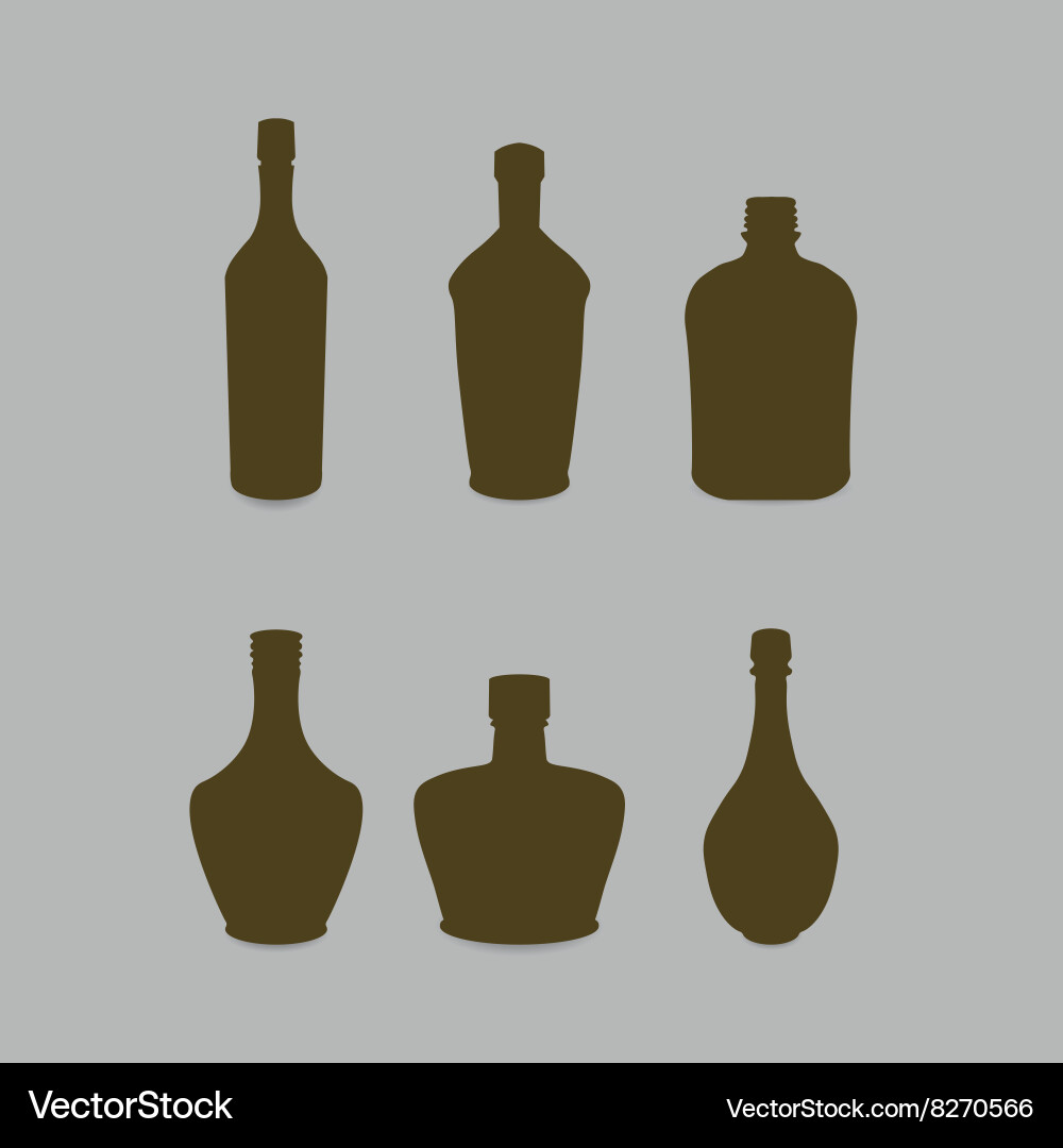 Bottles of different shapes vector image