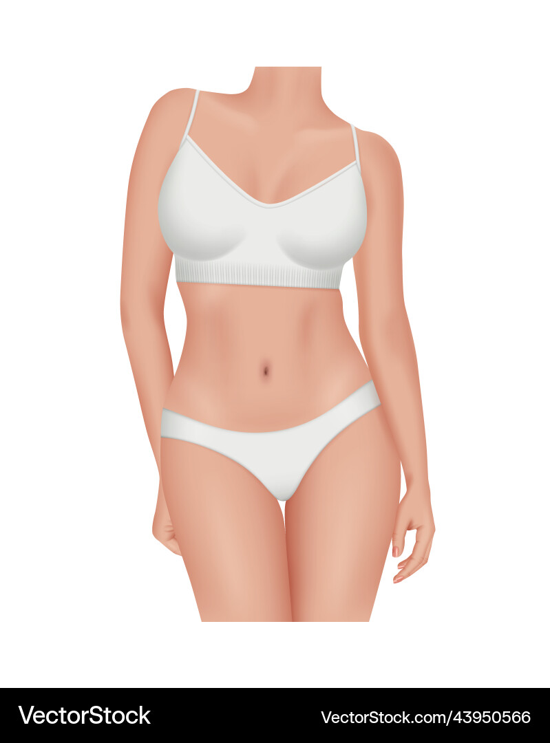 Frau Körper realistisch schöne Dessous Bikini Vektorbild