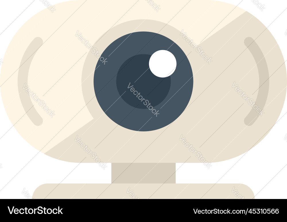 Server camera control icon flat data Server camera control icon flat data vector image