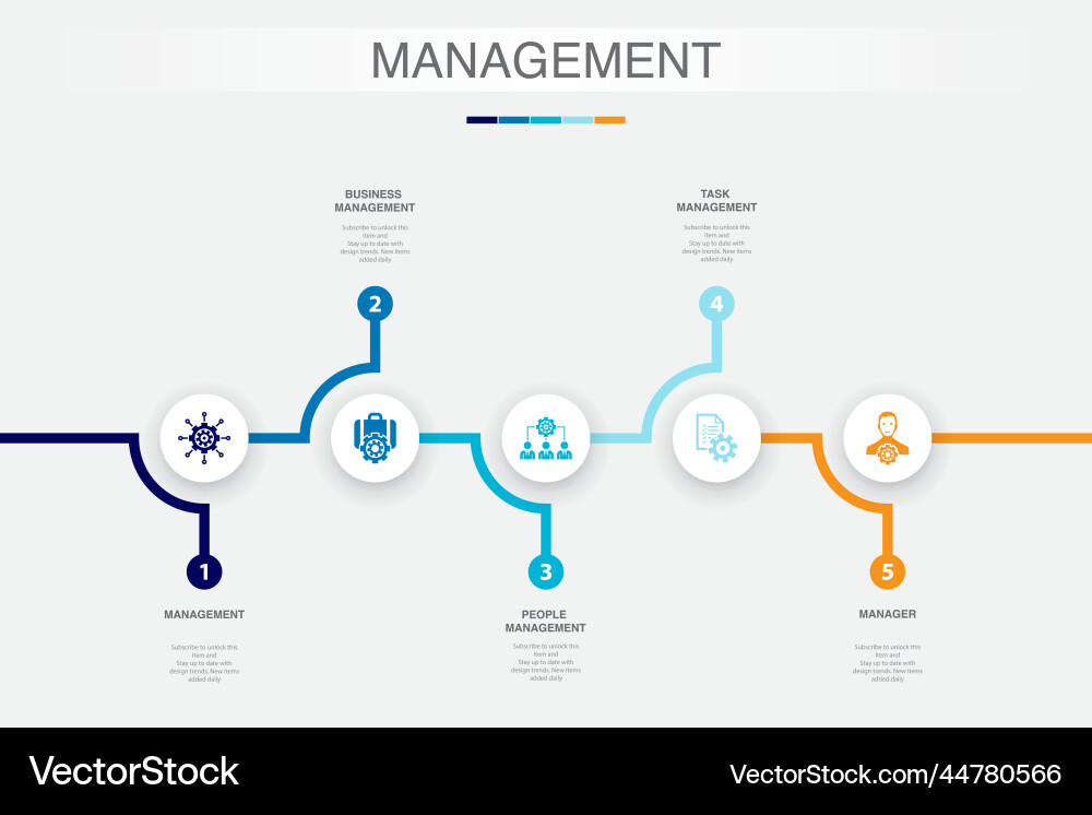 Task & Management Workflow vector image