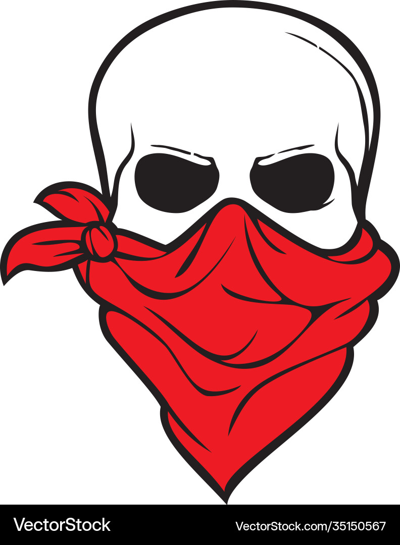 Skull with bandana bandit or pirate design Skull with bandana bandit or pirate design vector image