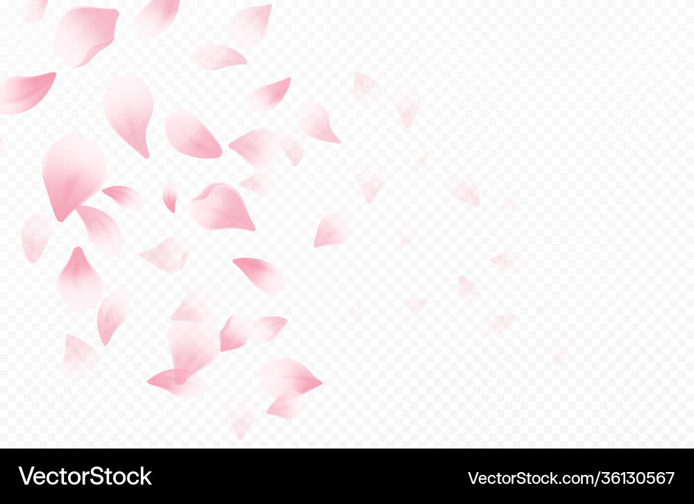 Spring time beautiful background with vector image