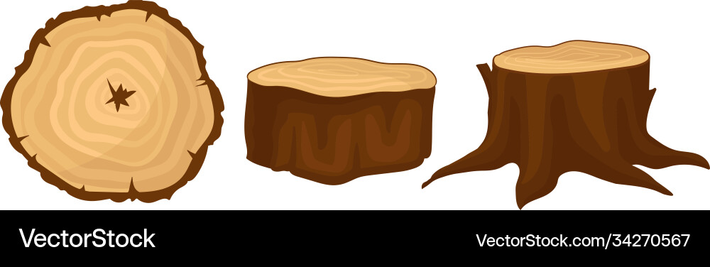 Stub and cross section timber as material Vector Image