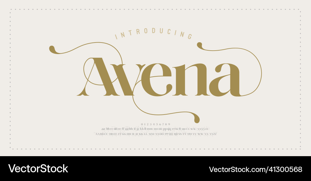 Elegant alphabet letters font and number Vector Image
