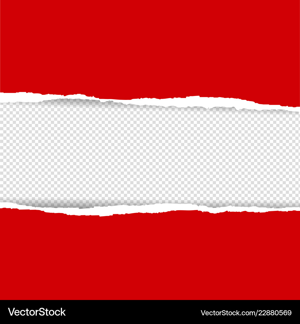 Torn Paper Background vector image
