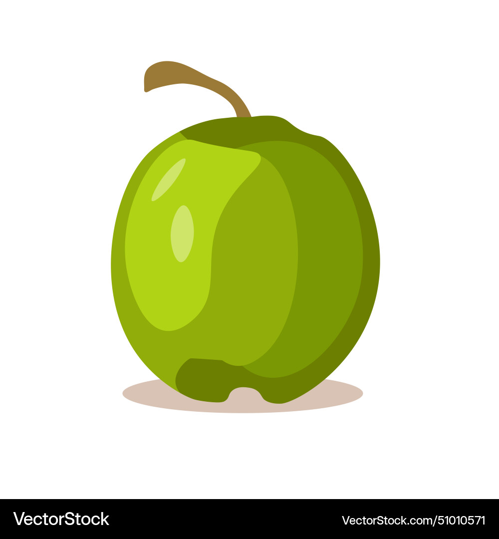 Cartoon green coconut fruit isolated on white Vector Image