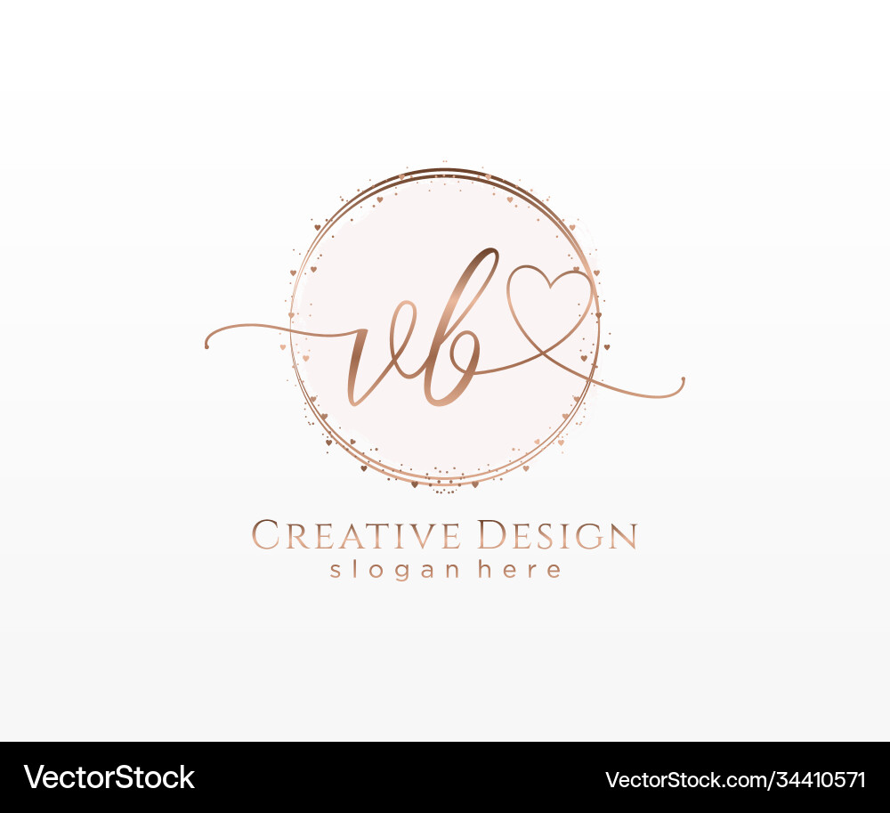 Elegant Initial VB Logo with Circle vector image