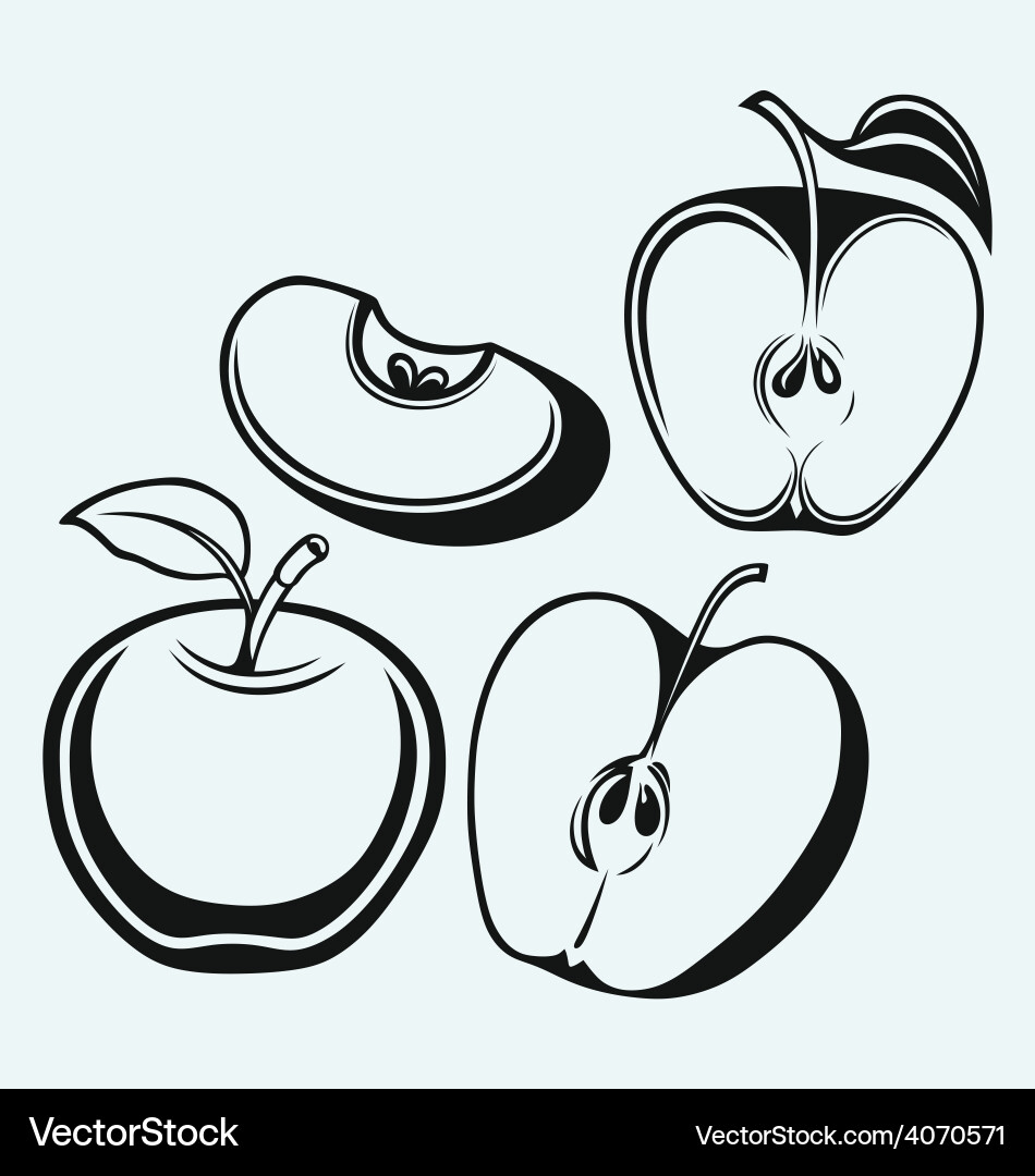 Fresh apple with leaf and slice Vector Image