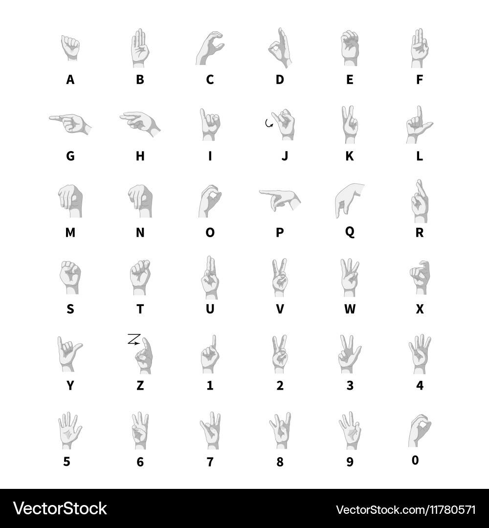 Latin Alphabet Sign Language Vector Image