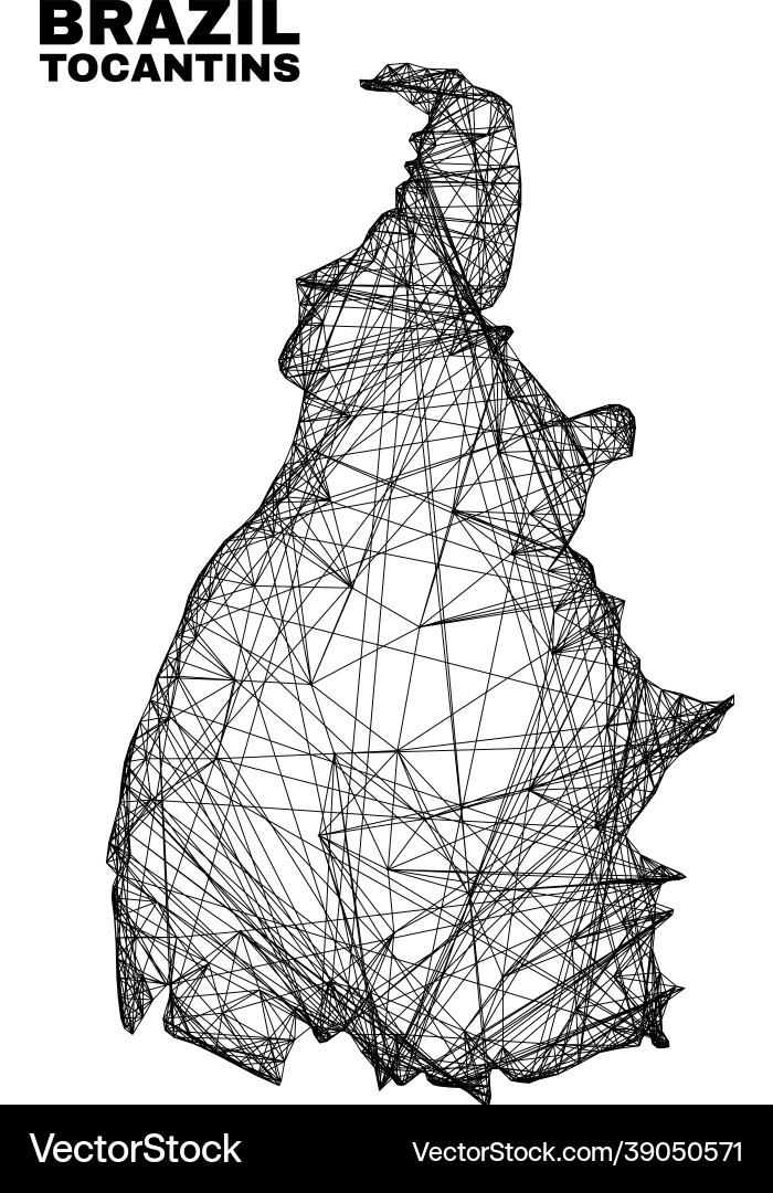 Net irregular mesh tocantins state map Net irregular mesh tocantins state map vector image