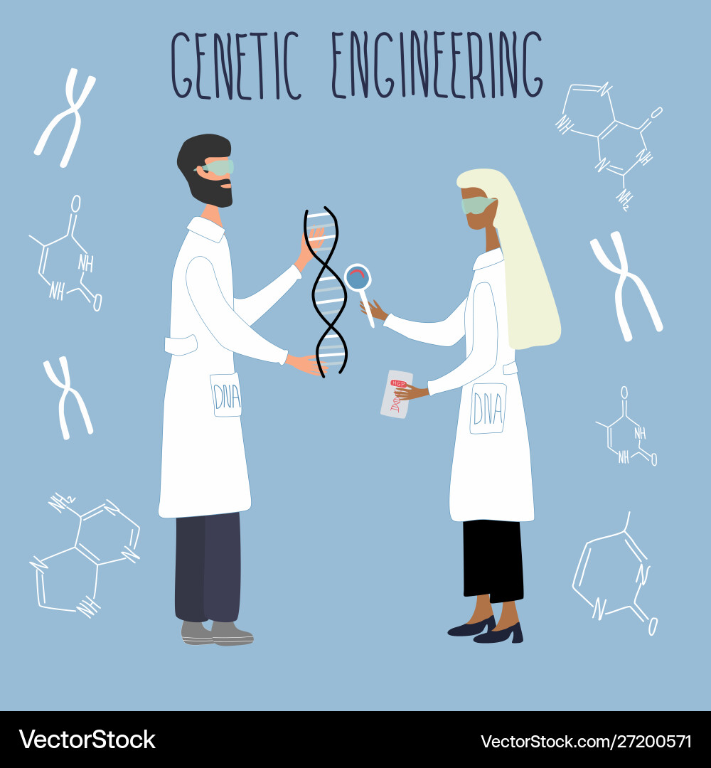Scientists exploring dna structure Vector Image