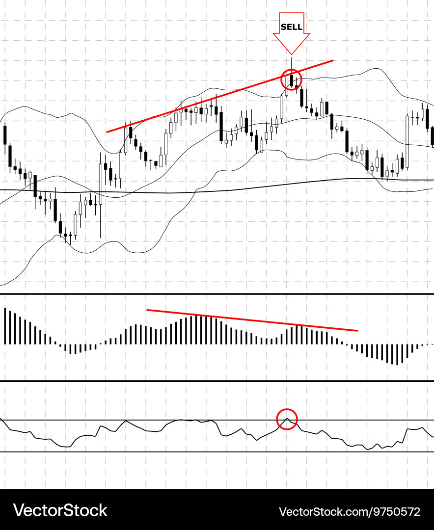 Forex chart with indicator vector image