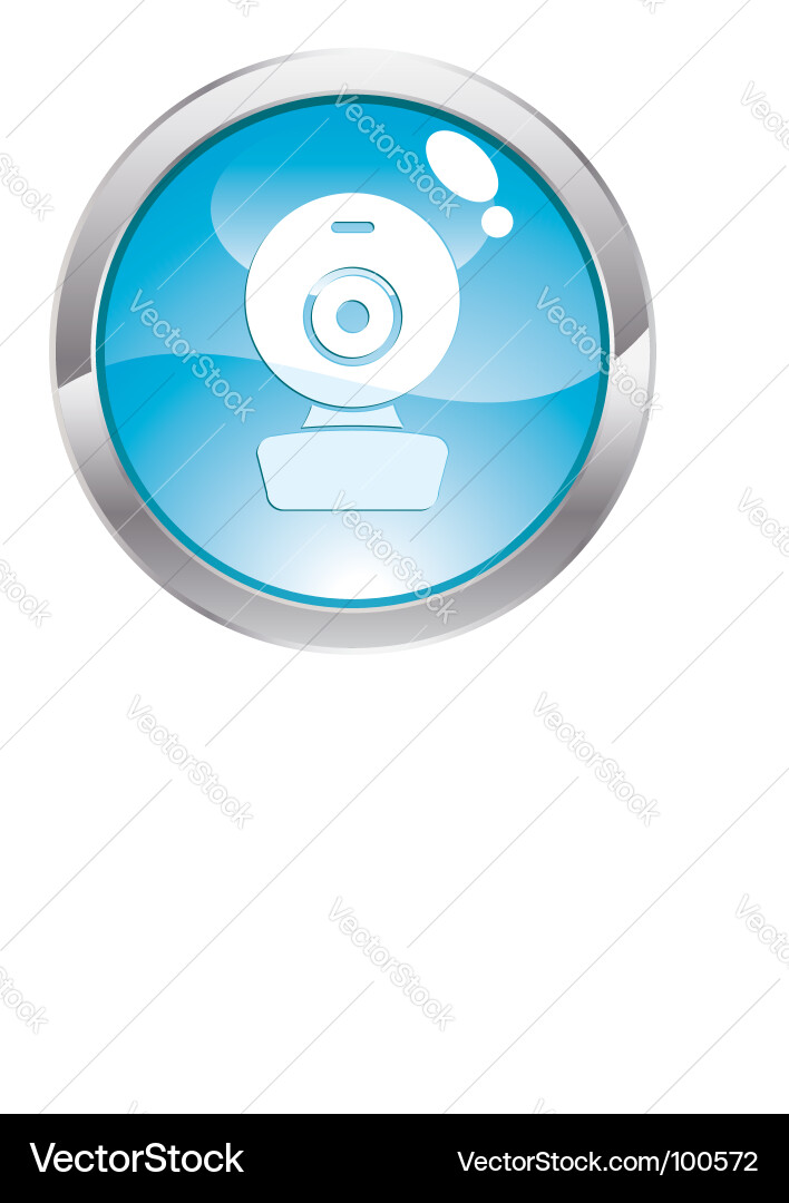Glossy Web Cam Button vector image