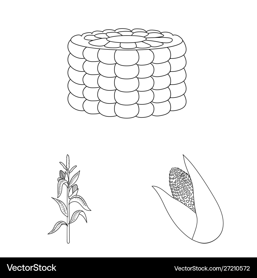 Isolated object farm and crop icon set Vector Image