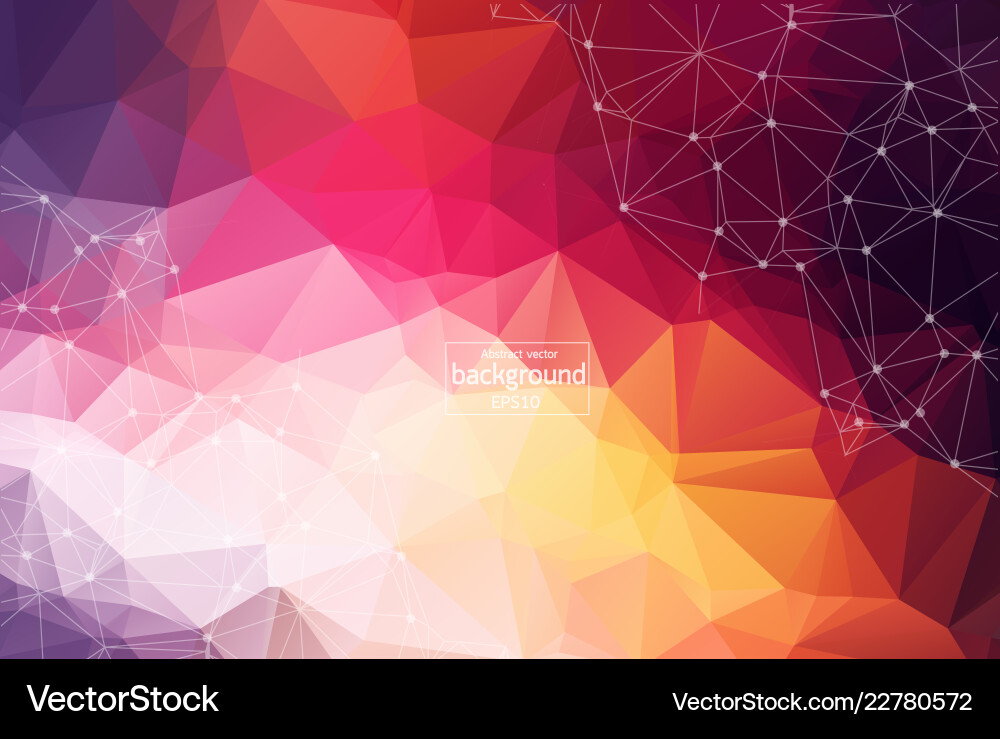 Light multicolor layout with circles lines design Light multicolor layout with circles lines design vector image