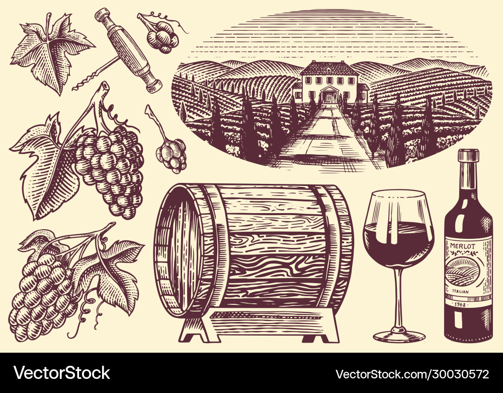 Vineyard and wine set grapes wooden barrel Vineyard and wine set grapes wooden barrel vector image