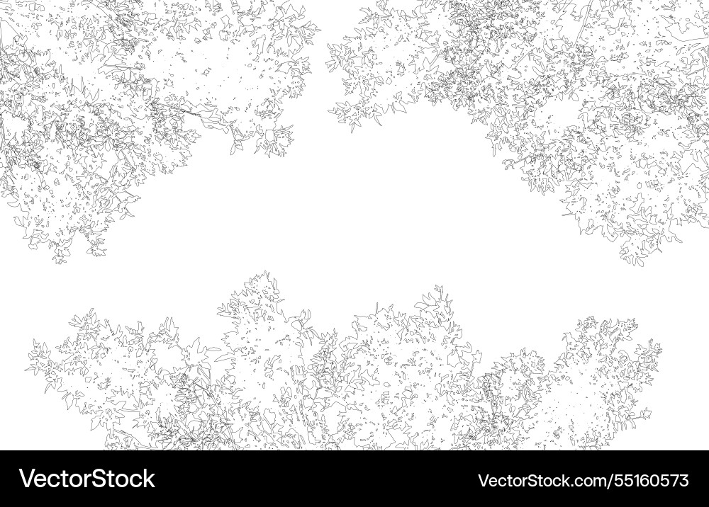 Frame with copy space contour deciduous tree Frame with copy space contour deciduous tree vector image