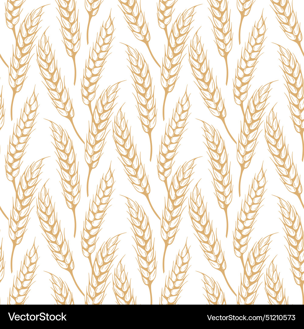 Seamless pattern sketch of ripe spikelets vector image