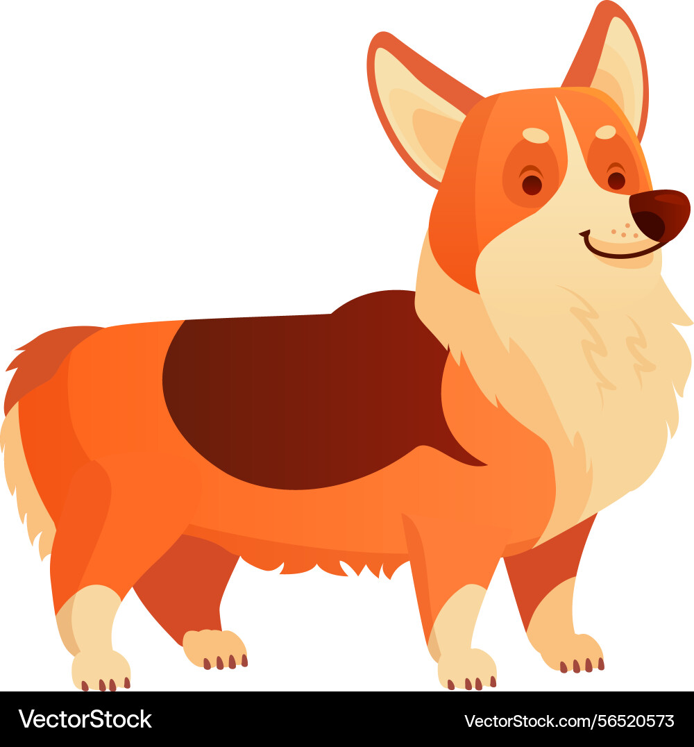 Welsh corgi displaying a joyful expression while Vector Image