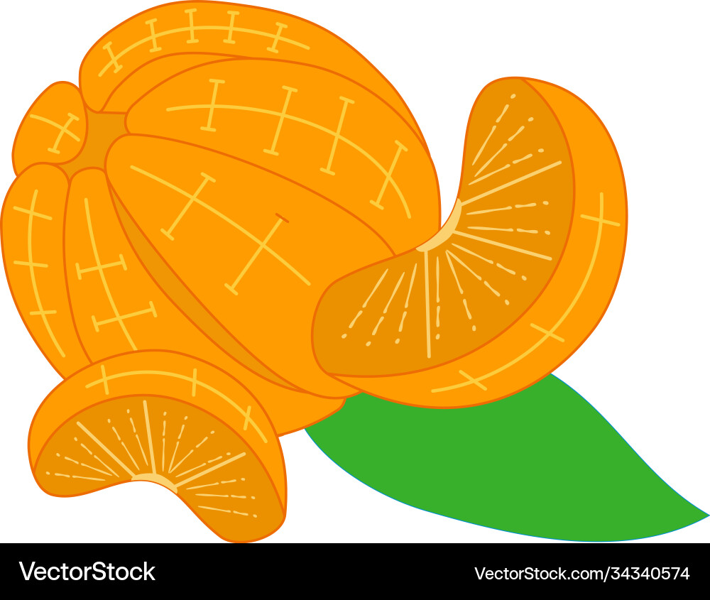 Orange without peel design slice part Orange without peel design slice part Vector Image