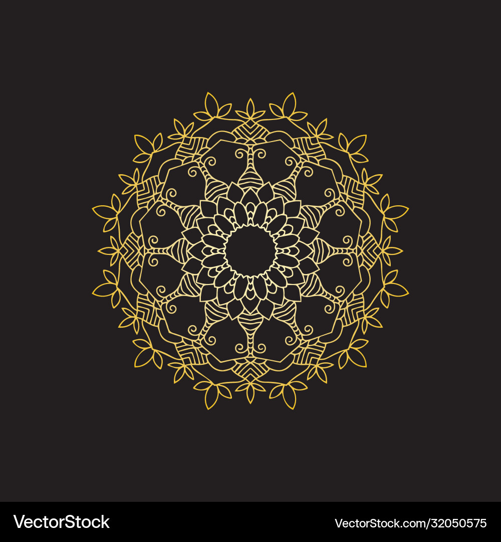 Mandala background image Vector Image