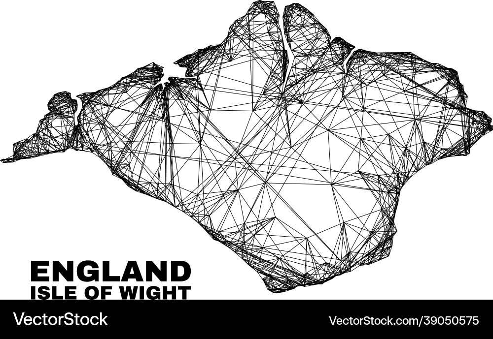 Net irregular mesh isle of wight map Vector Image