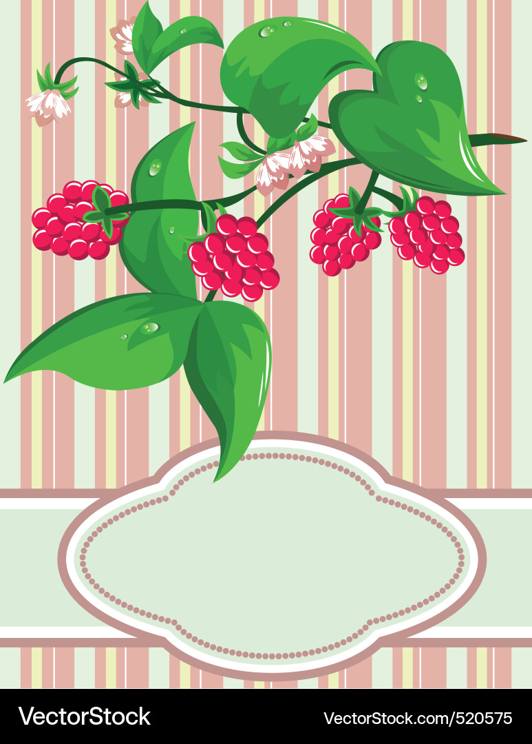 Sprig raspberry Vector Image