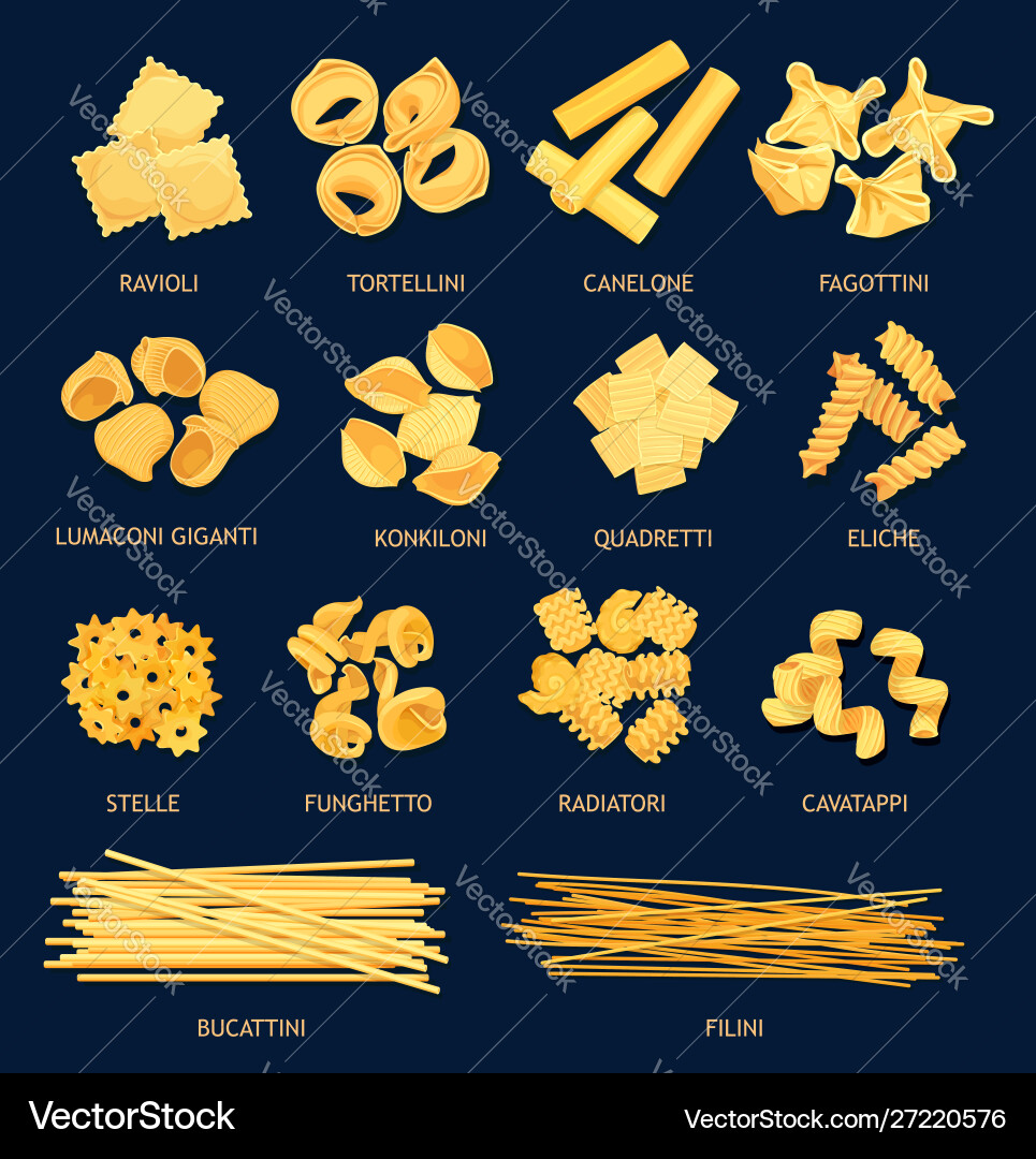 Assorted Italian Pasta Shapes Vector Image