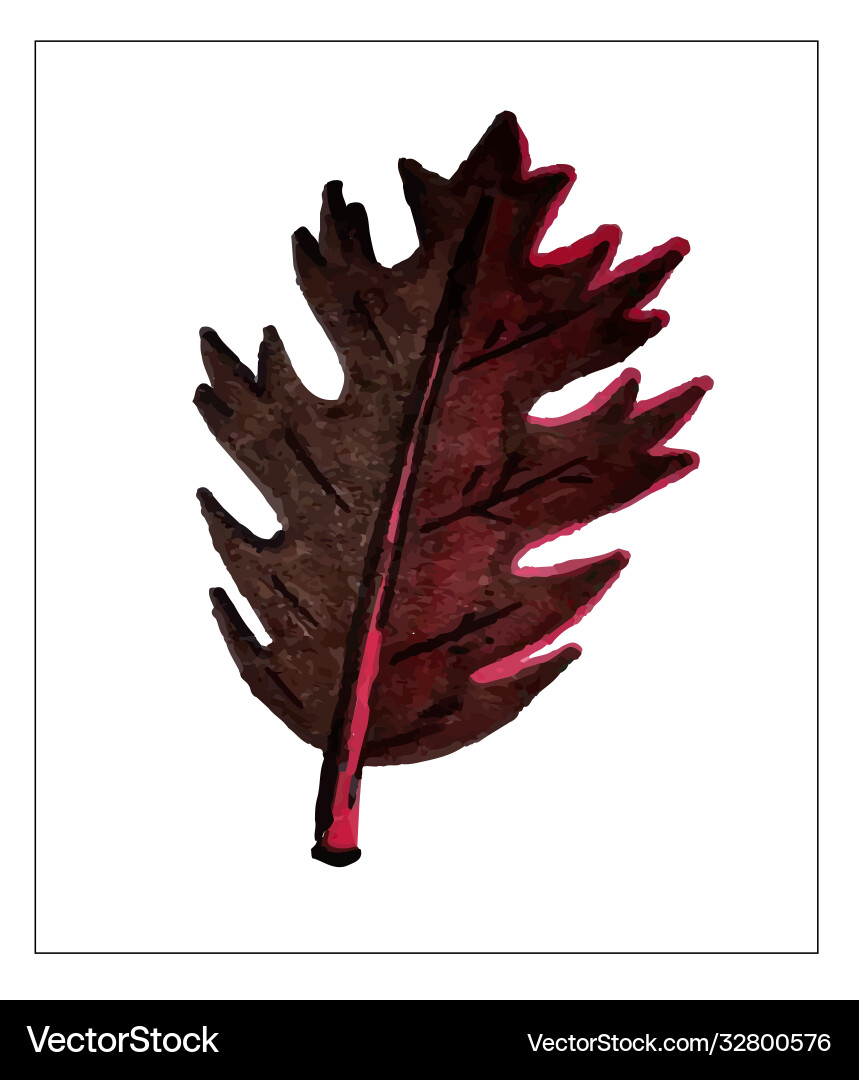 Autumn set leaves different trees Autumn set leaves different trees Vector Image